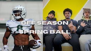 Off Season Vlog 1.. A Day in Spring Ball