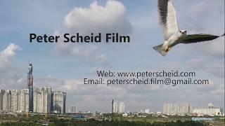 SHOWREEL VIETNAM - Peter Scheid Film/Video Production/Director & DoP, camera crew Ho Chi Minh City