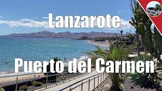 Lanzarote Puerto del Carmen ein Spaziergang an den Stränden Playa Chica, Babi, Grande und Blanca