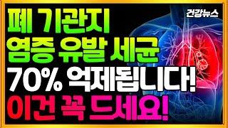 폐 기관지 염증 유발 세균! 70% 억제됩니다! 이건 꼭 드세요!