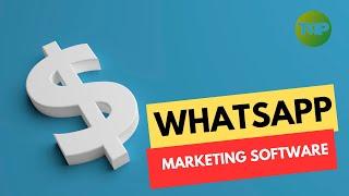 Whatsapp marketing software What is the Best Auto Reply for WhatsApp