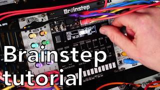 Brainstep Tutorial - Eurorack sequencer, arpeggiator, modulation generator, MIDI interface