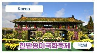 제21회 익산 천만송이국화축제 엄마는 힐링 중 시청하세요