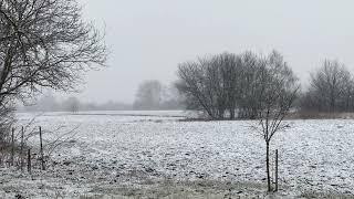 Relaxation in the village in winter: Quiet winter day with my  cats