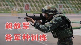 中国解放军及各军种训练视频/Chinese PLA Training/Tik Tok China