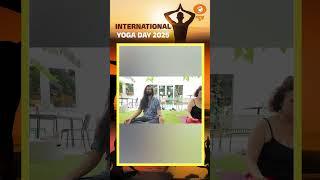 France में Yoga: भारत की प्राचीन विद्या कैसे बदल रही है आधुनिक जीवन