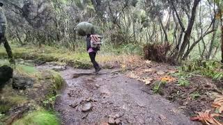 Hiking Techniques on a Steep Climb | Shira Camp | Mount Kilimanjaro | The Roof of Africa | Day 2