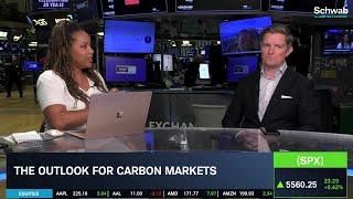 The State of U.S. Carbon Markets