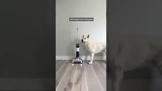 Shark Vacuum & Mop | The Shark HydroVac™ & Pets