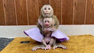 Marrya Raise Of L0ve Hugging NB Baby Monkey Tightly