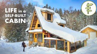 Couple Living in a Log Cabin Home Built from Scratch with 40 Trees from the Land