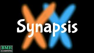 Synapsis | Syndesis | Difference Between Synapsis & Crossing Over |