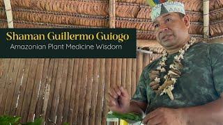 Amazonian Plant Medicine