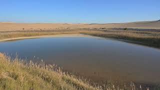 A Small & Natural Oasis, Western Desert, Egypt