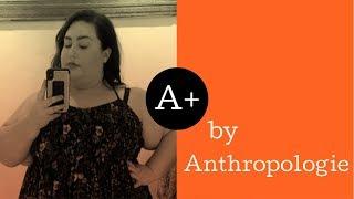 Does it get an A+?! 3X/26W Try-On of Anthropologie's A+ Plus Size Line