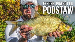 Feeder: powrót do podstaw