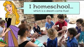 I Homeschool ["Once Upon a Dream" Musical Parody]