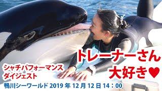 トレーナーさん大好きラビーちゃん【2019年12月12日14:00　鴨川シーワールド　シャチパフォーマンス　ダイジェスト】