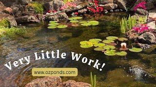 How to clean a pond without draining it