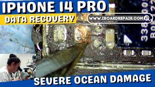 Recovering Data from an Ocean Damaged iPhone 14 Pro (for a celebrity!)