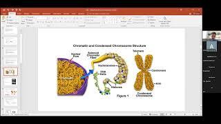 К. Половников «Non-backtracking walks reveal compartments in sparse chromatin interaction networks»