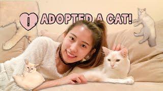 我在美國領養了一隻布偶貓 還幫他取了炫砲的名字 I adopted a ragdoll cat!｜ 妮可 Nicole Hsiao