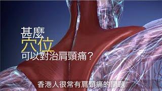 【#第15屆健康博覽．健康資訊站】甚麼穴位可以對治肩頸痛？