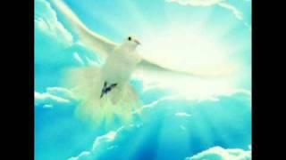 Michael Angelo Batio - Peace