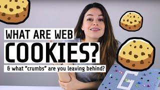 What are Cookies? // and what "crumbs" are you leaving on the internet?