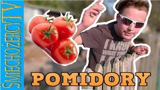 Pomidory-,,By Pojebani TV "-Video śmieszek