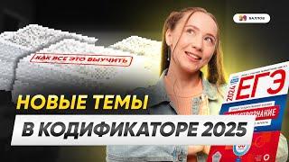 ВАЖНЫЕ ИЗМЕНЕНИЯ В ЕГЭ ПО ОБЩЕСТВОЗНАНИЮ 2025 - КОРОТКО И ЯСНО || 99 БАЛЛОВ ОБЩЕСТВОЗНАНИЕ