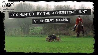 Fox hunted - Atherstone Hunt - Sheepy Magna