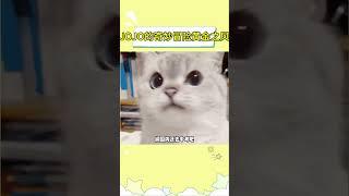 很难想象，一个队伍没一个人比我年纪大 #JOJO的奇妙冒险黄金之风 #动漫 #漫画 #二次元 #万万没想到