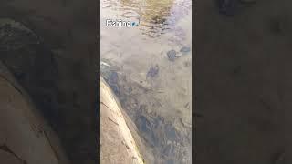 FishingFarmerShortsviral#fishing@Sohelkhan-sf