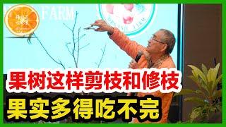 果樹這樣剪枝和修枝，來年果實多得吃不完！| 田土伯教您修剪果樹的秘訣！