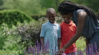 Introduction to Longwood Gardens