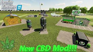 Grow Weed Everyday! | How To Use The Cannabis Mod! | #fs22 | #farmingsimulator22 | #cjfarms