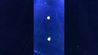 Frost Science Museum | Miami, Fl