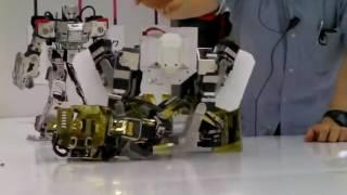 [Robot Pro Wrestling Dekinnoka] Saaga vs Nagare Gold