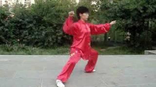 Shen Laoshi Chen Tai Ji Faustform   36er