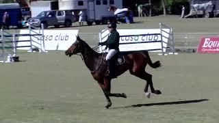 Carlos Scarano en Polo Jumping Tour