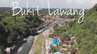 Bukit Lawang, Sumatra - A hidden village of friendly people and beautiful nature