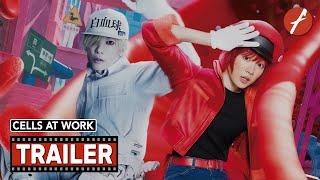 Cells at Work (2024) はたらく細胞 - Movie Trailer - Far East Films