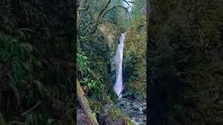 A great spot #vancouverisland #neverstopexploring #waterfall #adventure #travelbucketlist