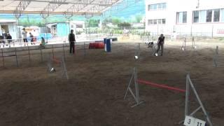 20110424 Fabienne Jade Jump 152539