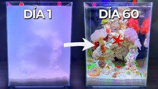 Construyendo una Porción del Océano, Construcción de un Nano Arrecife de Coral