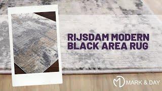 Rijsdam Modern Black Area Rug