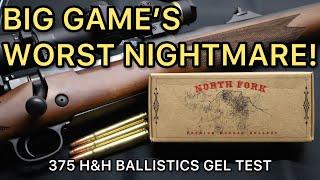 375 H&H Magnum North Fork 300gr Bonded Bullet Ballistics Gel Ammo Test