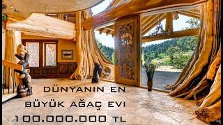 100.000.000 TL DEĞERİNDE DÜNYANIN EN BÜYÜK AĞAÇ EVİ