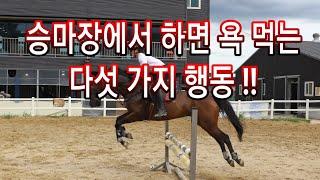 승마장 처음 갈 때 알고 가야 할 안전수칙 5 !!